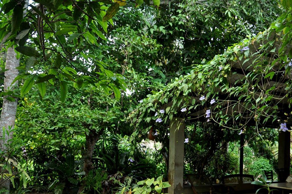 Green Corridor - Ахангама Экстерьер фото